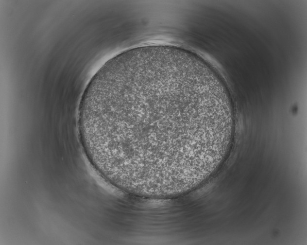 X0000114591423200911301349