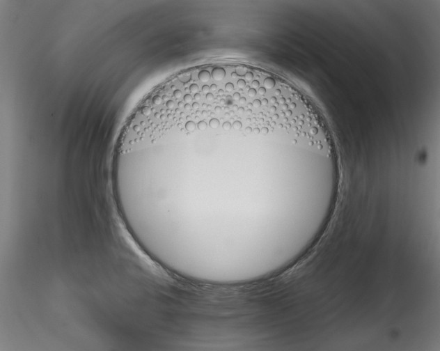 X0000114591424200911301349