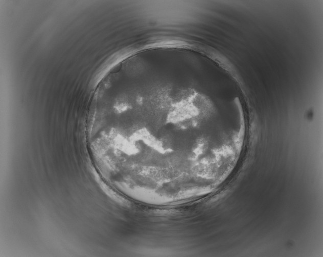 X0000114591425200911301349