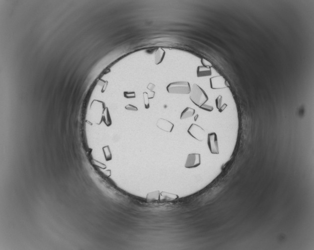 X0000114591426200911301349