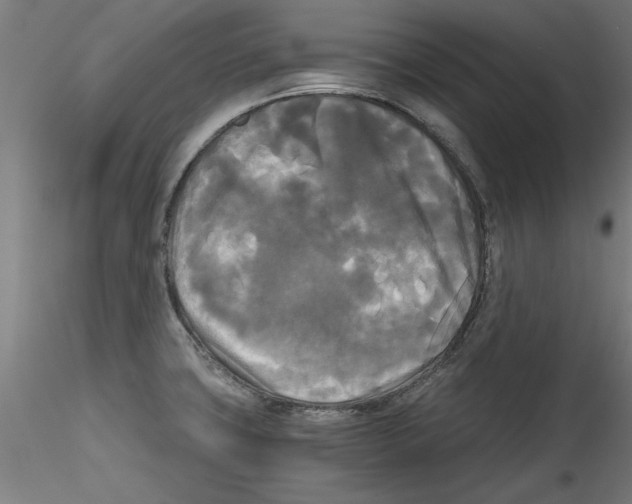 X0000114591427200911301349