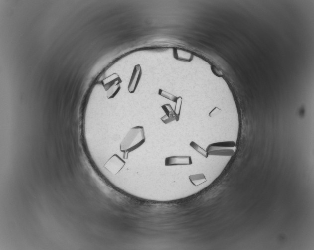 X0000114591430200911301349