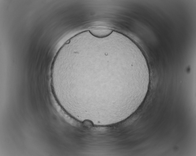 X0000114591431200911301349