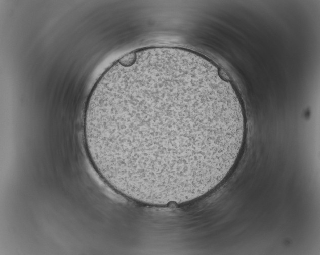 X0000114591432200911301349