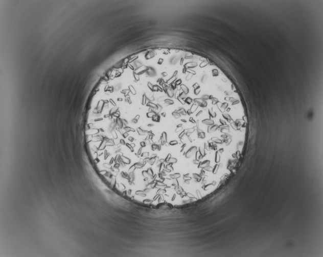 X0000114591434200911301349