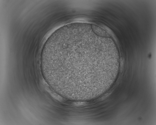 X0000114591435200911301349