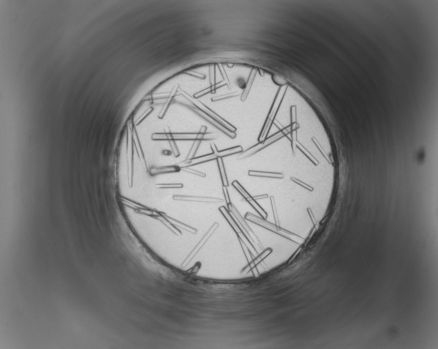 X0000114591436200911301349