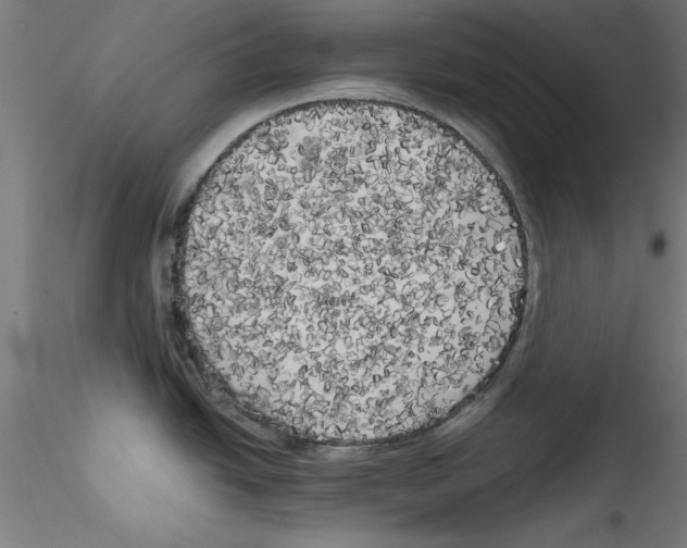 X0000114591438200911301349