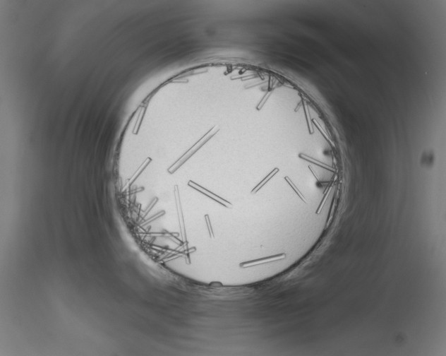 X0000114591440200911301349