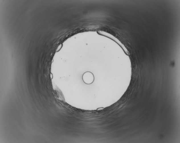 X0000114591441200911301348