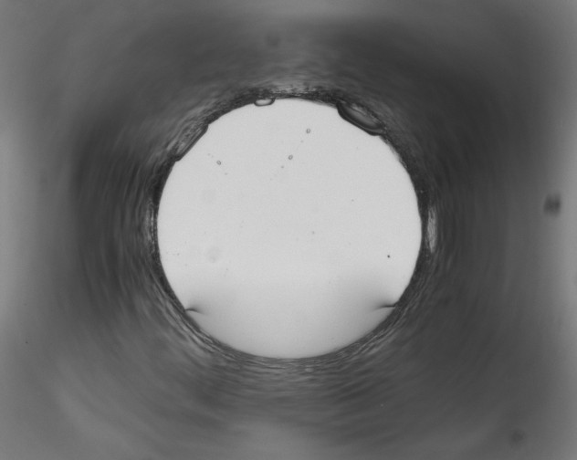 X0000114591444200911301348