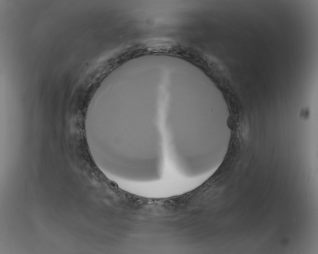 X0000114591445200911301348