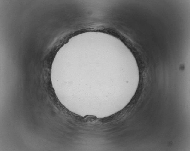 X0000114591447200911301348