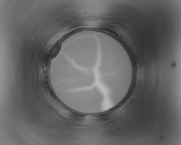 X0000114591449200911301348