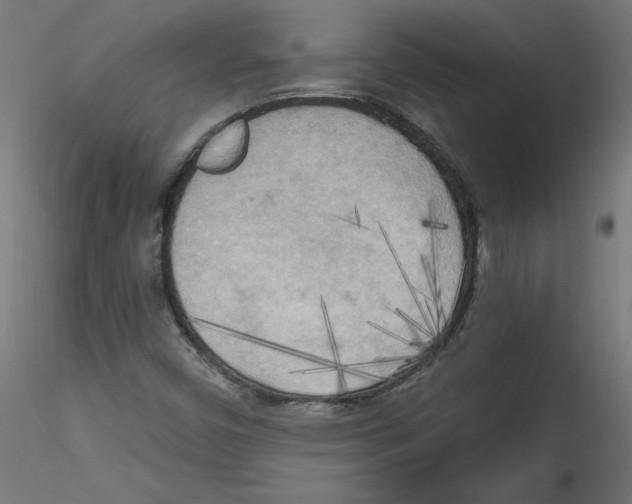 X0000114591450200911301348