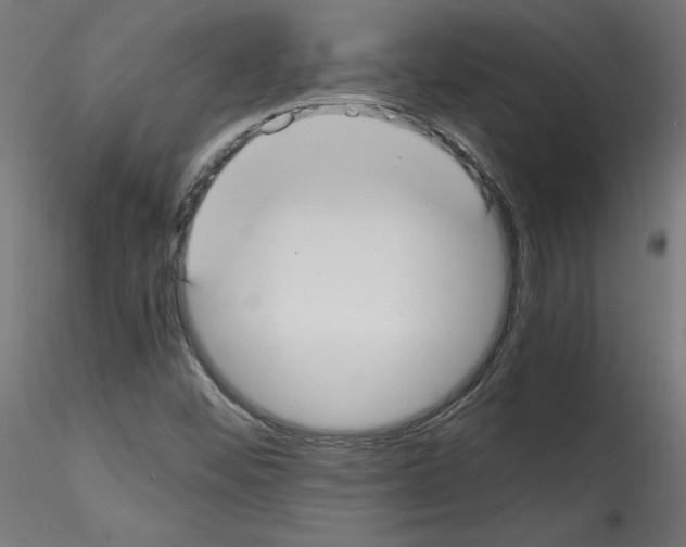 X0000114591452200911301348