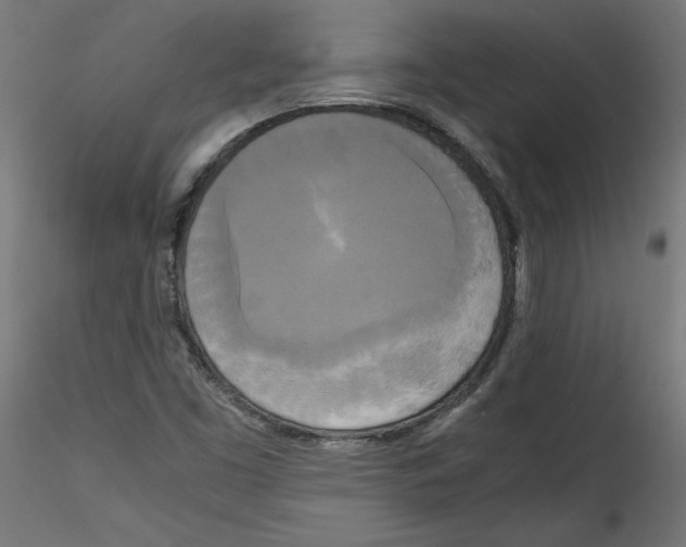 X0000114591453200911301348