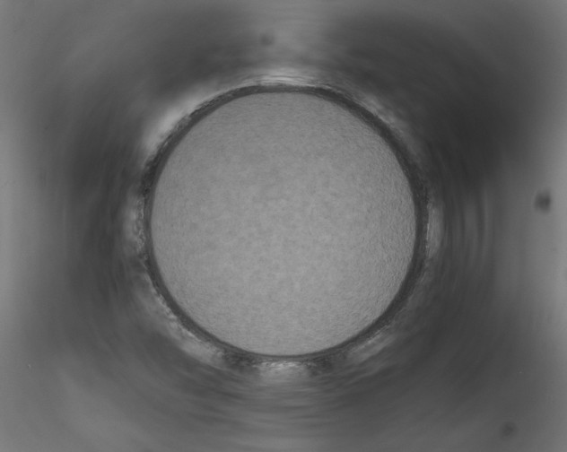 X0000114591454200911301348