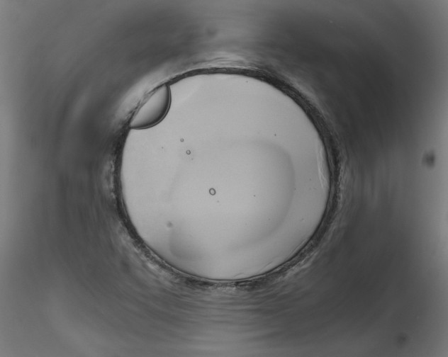 X0000114591455200911301348