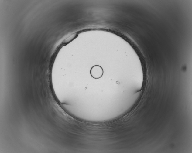 X0000114591460200911301348