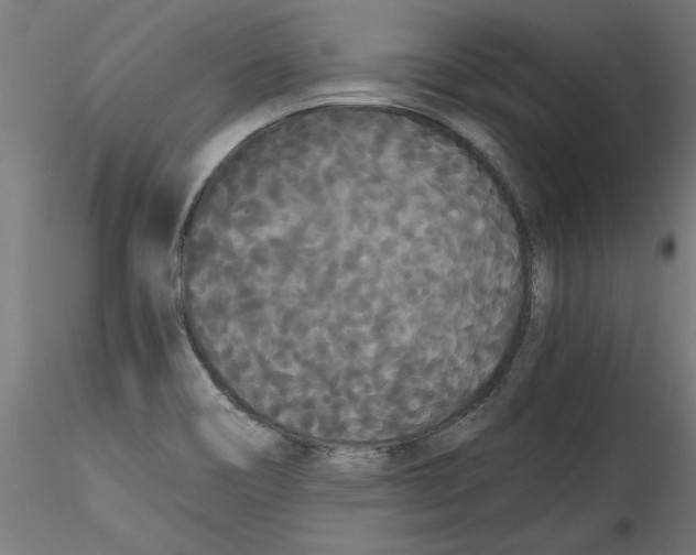 X0000114591466200911301347