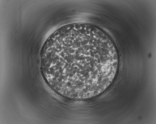 X0000114591467200911301347