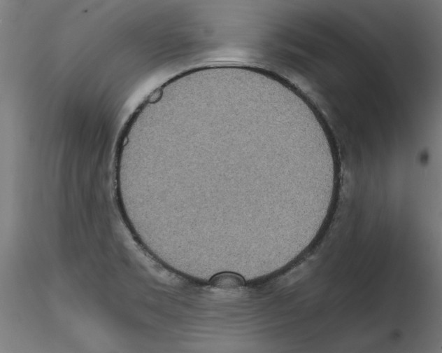 X0000114591469200911301347