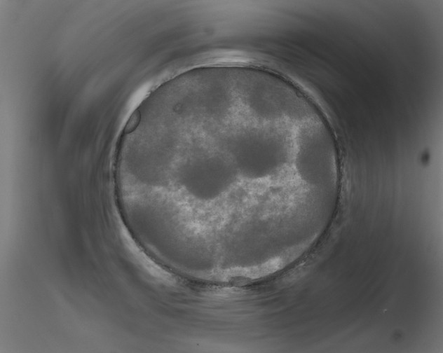 X0000114591475200911301347