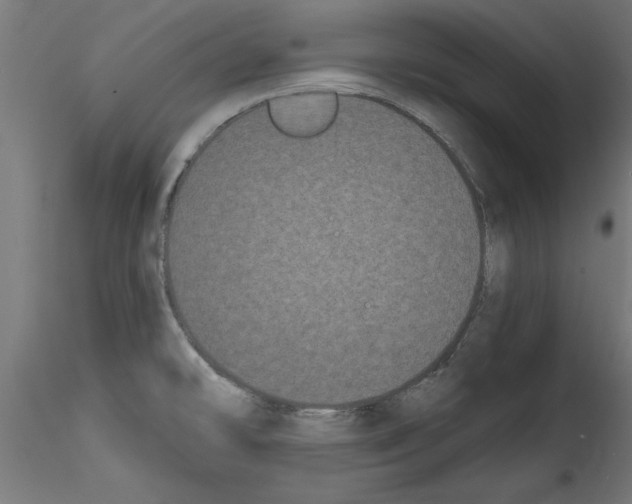 X0000114591478200911301347