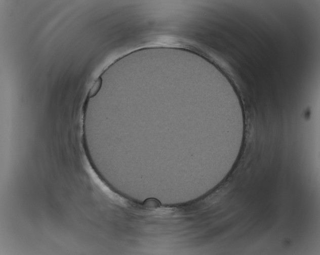 X0000114591479200911301347