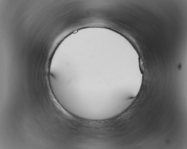X0000114591480200911301347
