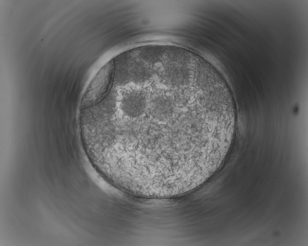 X0000114591482200911301347