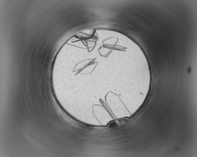 X0000114591483200911301347