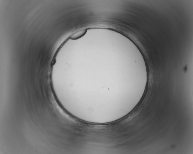 X0000114591484200911301347