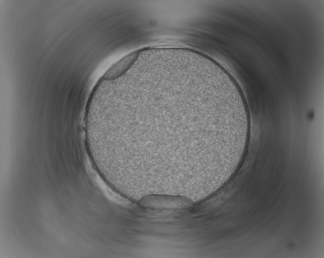 X0000114591485200911301347