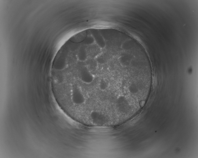 X0000114591487200911301347