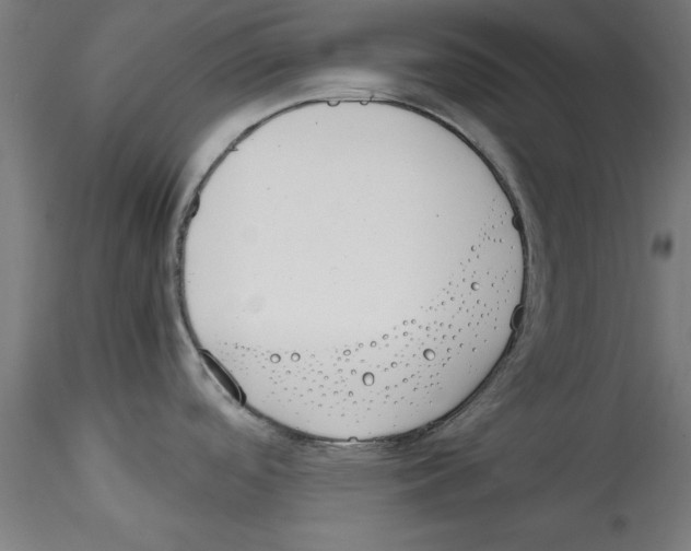 X0000114591488200911301347