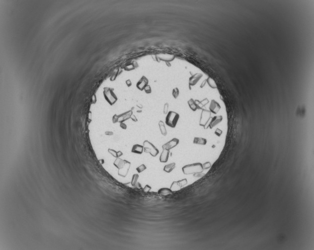 X0000114591489200911301346