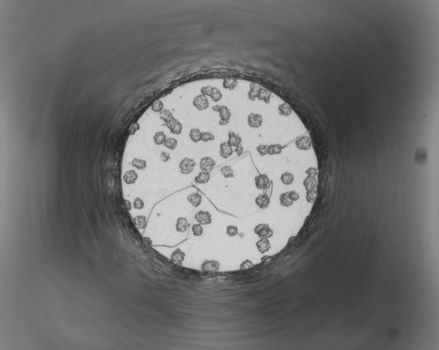 X0000114591490200911301346