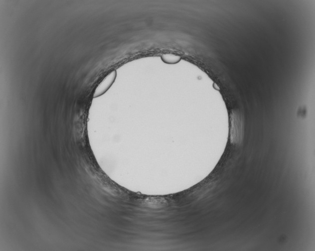 X0000114591491200911301346