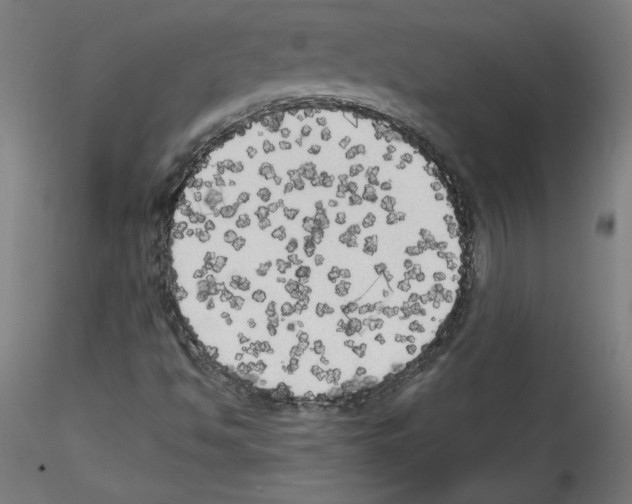 X0000114591494200911301346