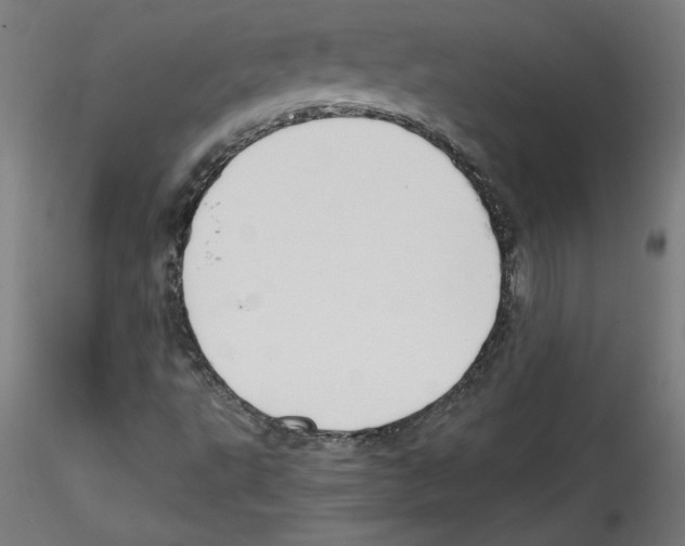 X0000114591495200911301346