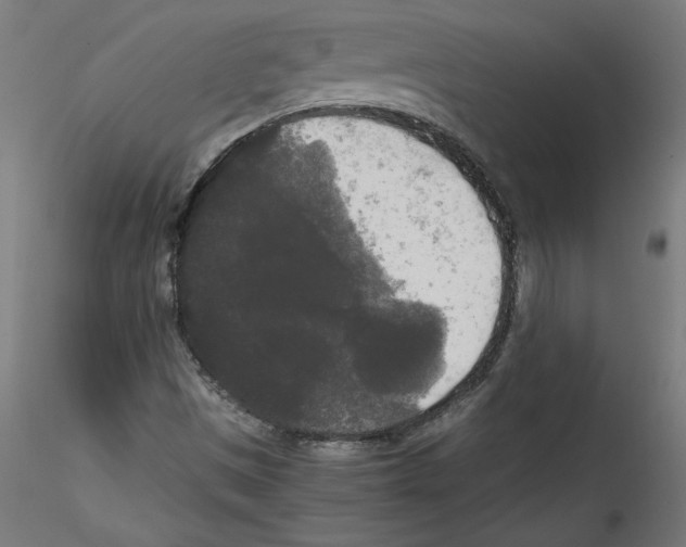 X0000114591497200911301346
