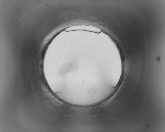 X0000114591502200911301346