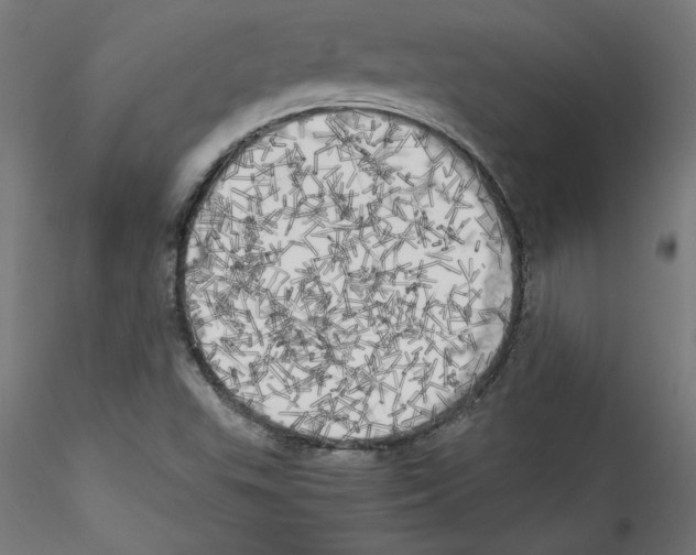 X0000114591503200911301346