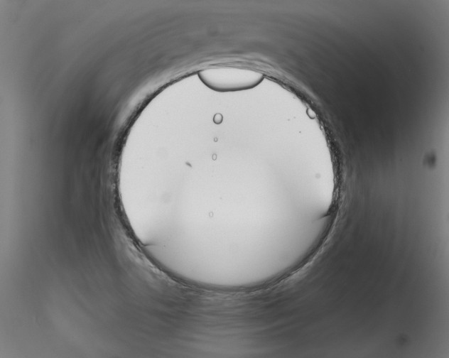 X0000114591506200911301347