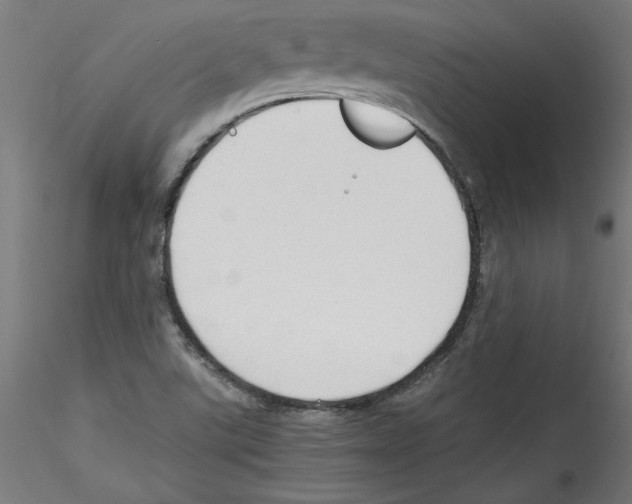 X0000114591507200911301347