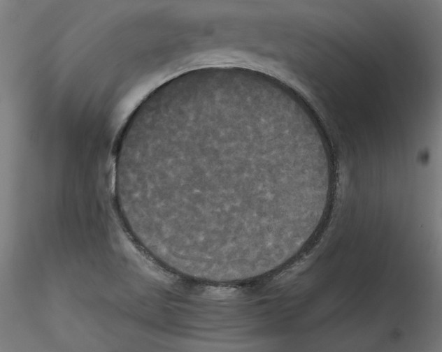 X0000114591509200911301347