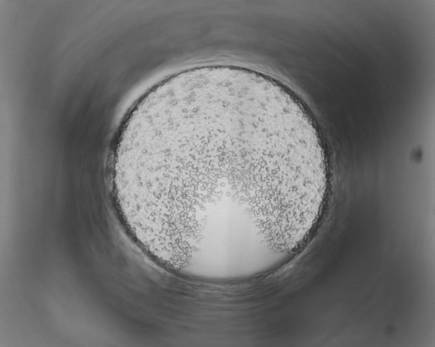 X0000114591510200911301347