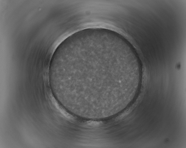 X0000114591513200911301347